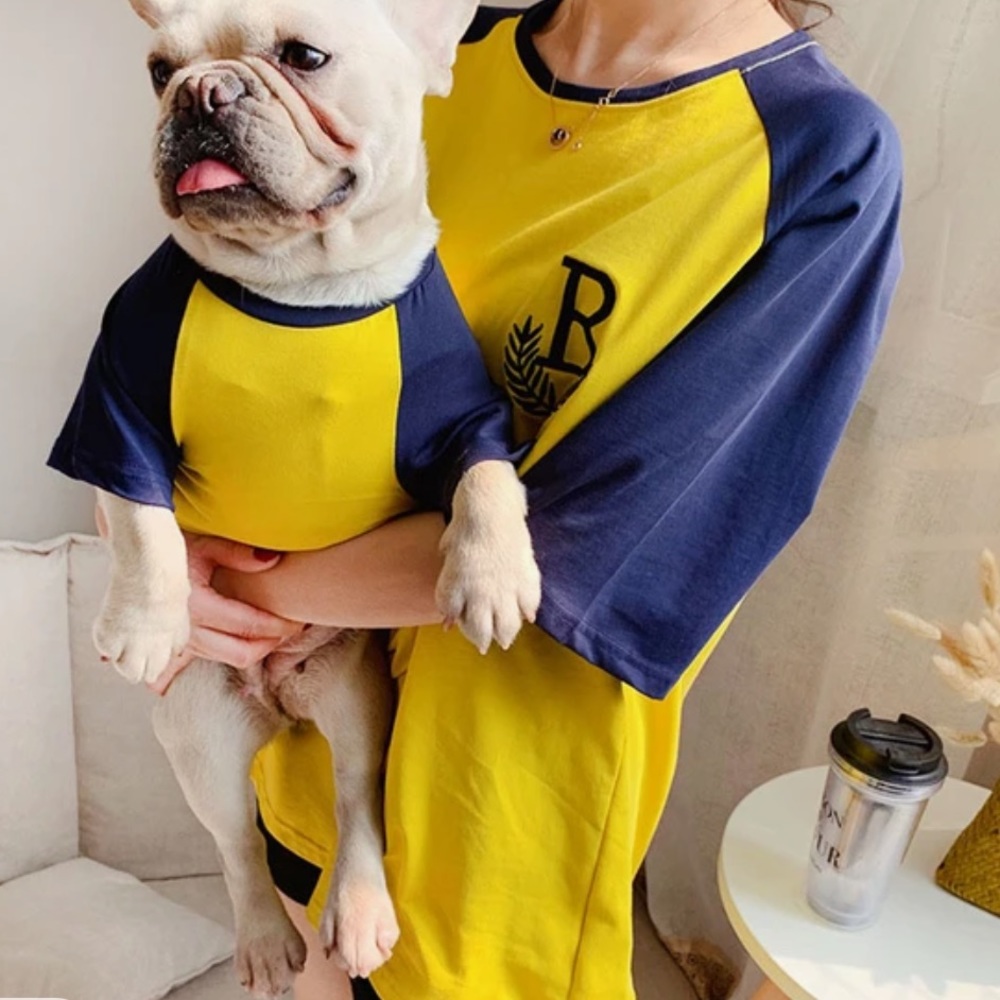 Blue and yellow matching pet and owner t shirt letter B Size small